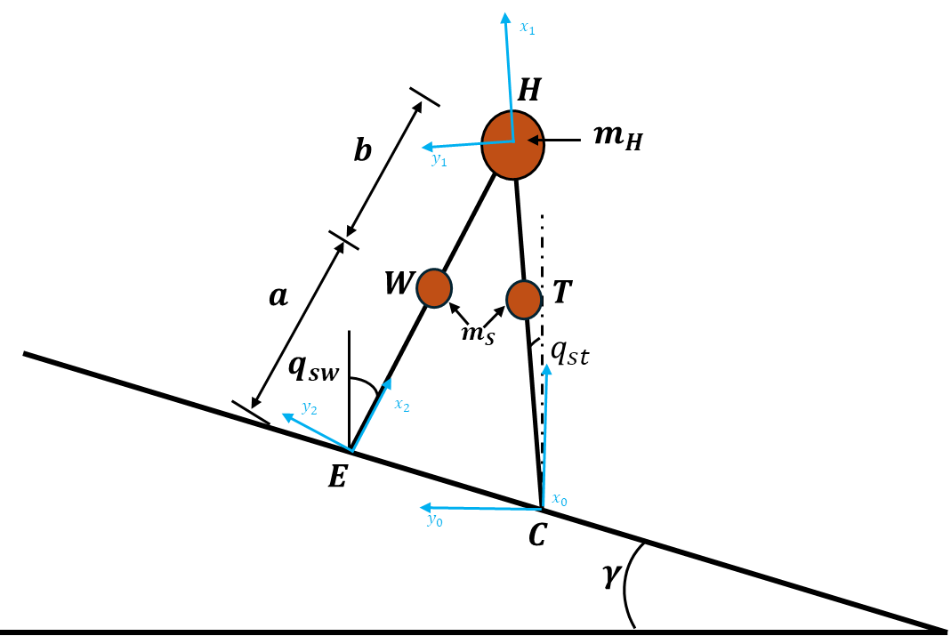 Compass Gait Model